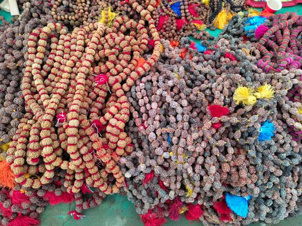 Original Rudraksha dealer Sahakara Nagar