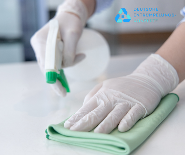 Messie Wohnung reinigen Kosten