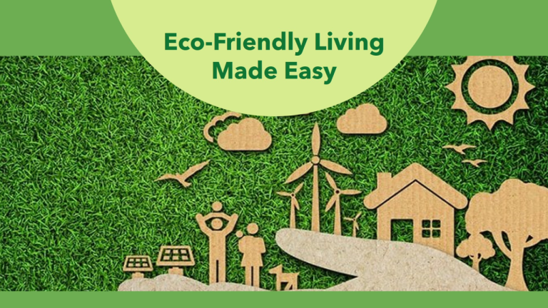 practical sustainability tips and nature-focused living