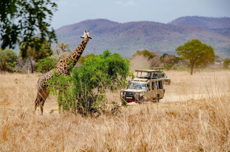 For self-drive safari travelers