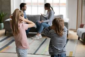 disputes between family or household members disputes between family or household members